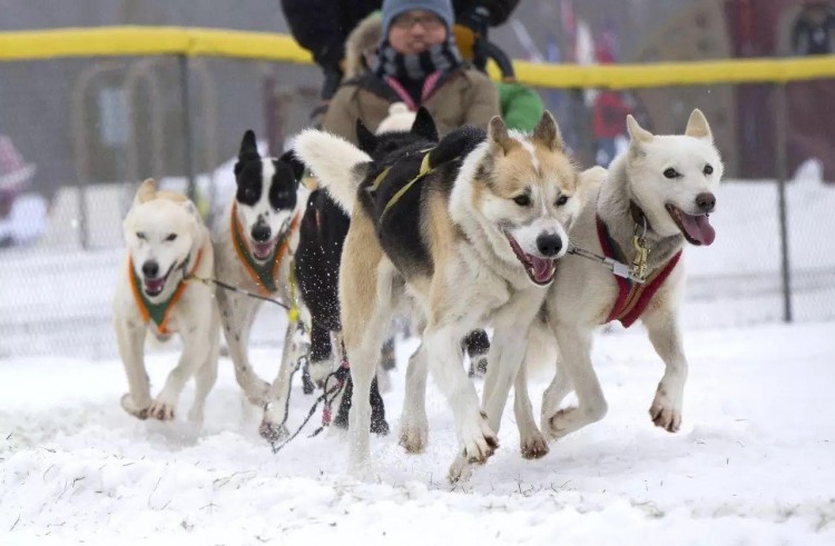 南京周边竟有这么多滑雪场温泉农家乐……