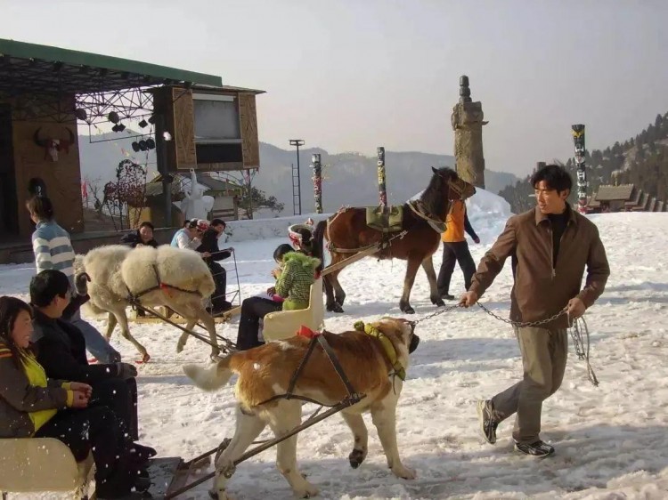 这才是冬天的正确打开方式济南滑雪温泉一网打尽带娃约起来