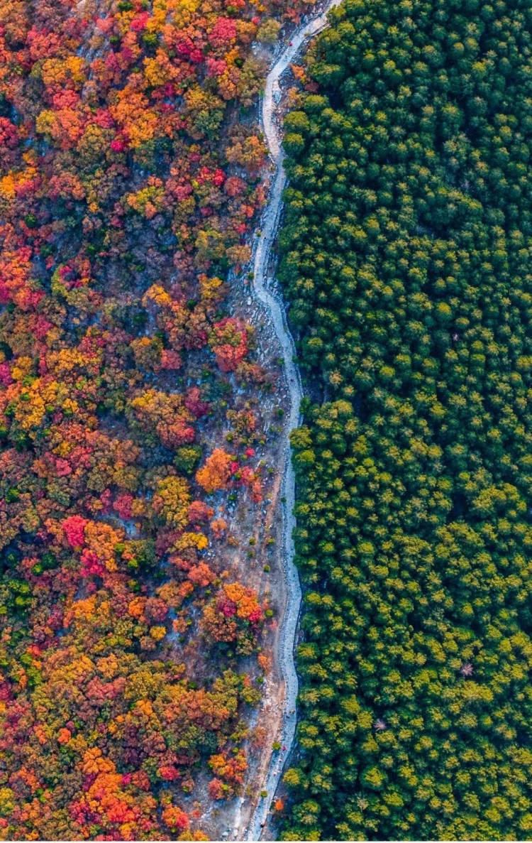 赏秋叶登秋山贴秋膘…秋天在济南最治愈的10件事你都打卡了吗