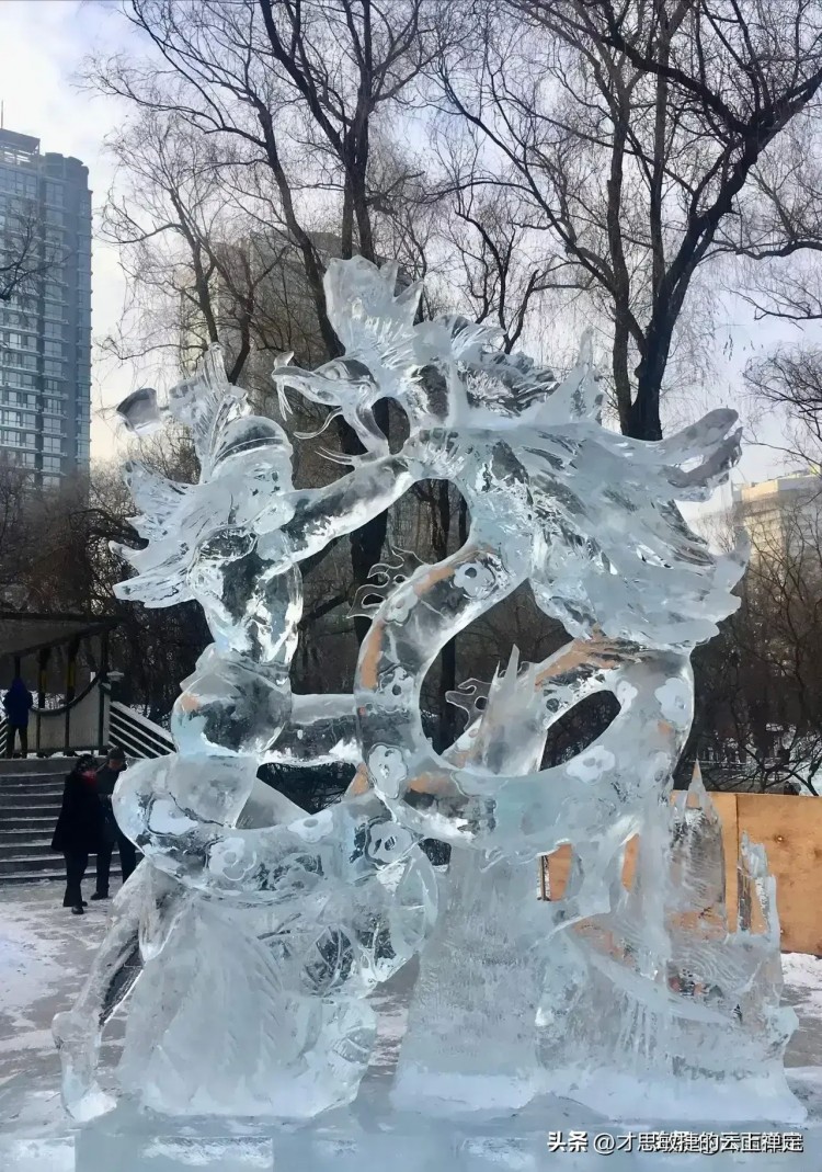 哈尔滨旅游杀疯了各种奇妙的体验让游客们流连忘返...