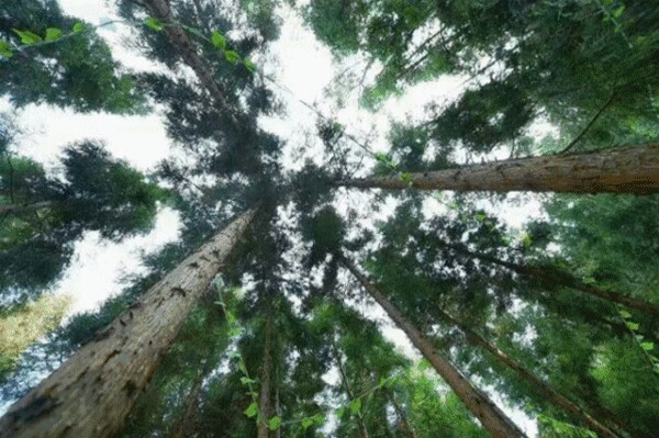 呼朋引伴来贵阳这约泡春秋换季泡汤最巴适享受难得的山野惬意