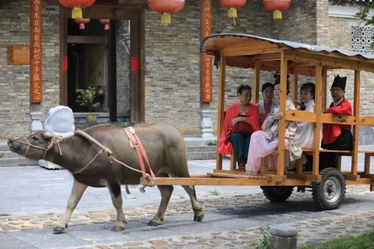 聚焦|桂林市象鼻山景区全面免费开放！过年去哪儿玩还有更多优惠信息→