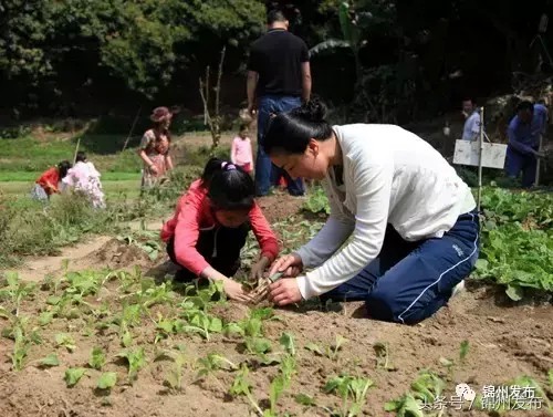 小长假锦州周边去哪玩儿看点儿啥有啥优惠都在这里了