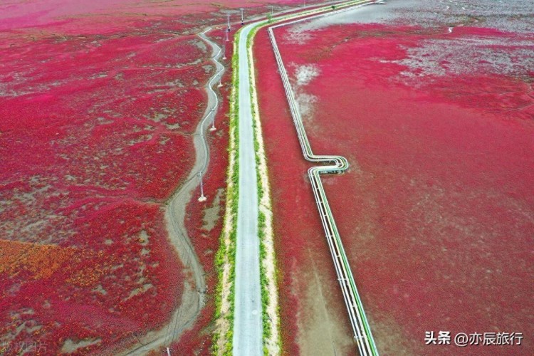 辽宁盘锦六大必游景点，2024年春节旅游最佳场所