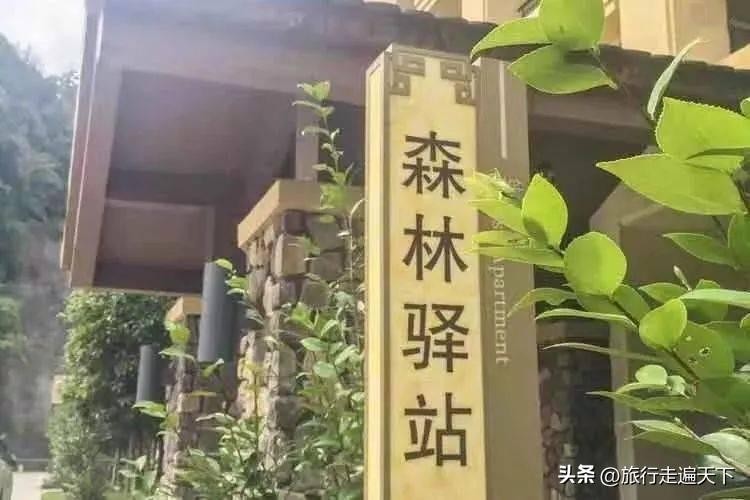 广东韶关经律论国际温泉酒店放大招2日游白菜价网友：住得起