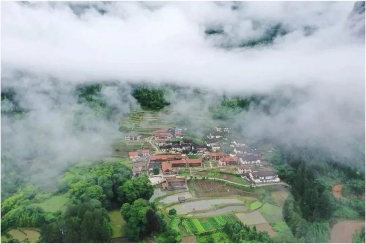 浙江丽水这家隐世山居卧虎藏龙有金庸的武侠风