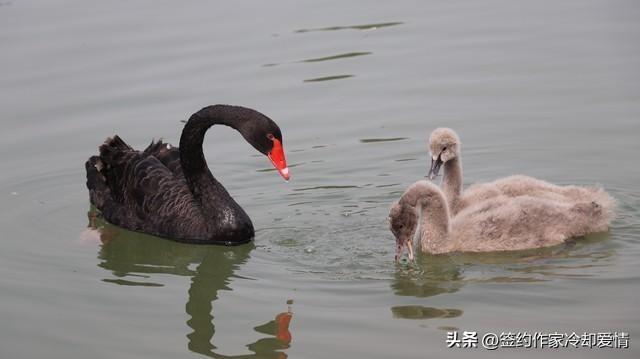 适合宿迁人周末休闲娱乐的十个建议你知道几个