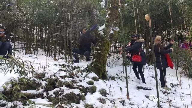 「亲身体验」广安人排队也要去耍的地方你确定都去过吗