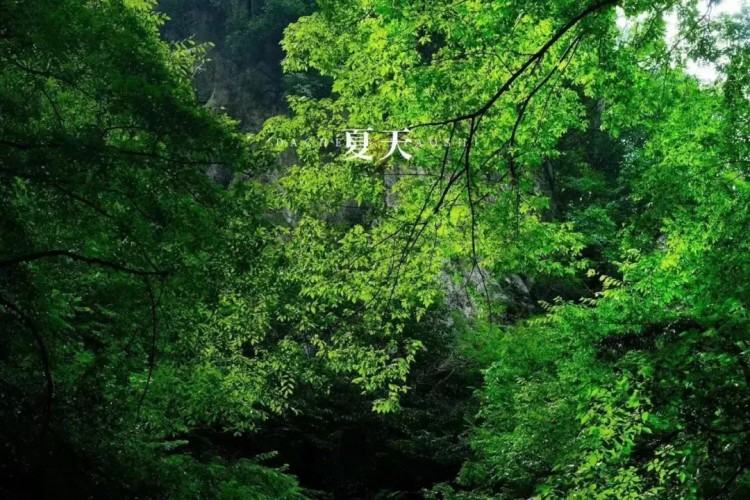 热热热！随州这些消夏避暑好去处记得收藏挑个周末就出发！