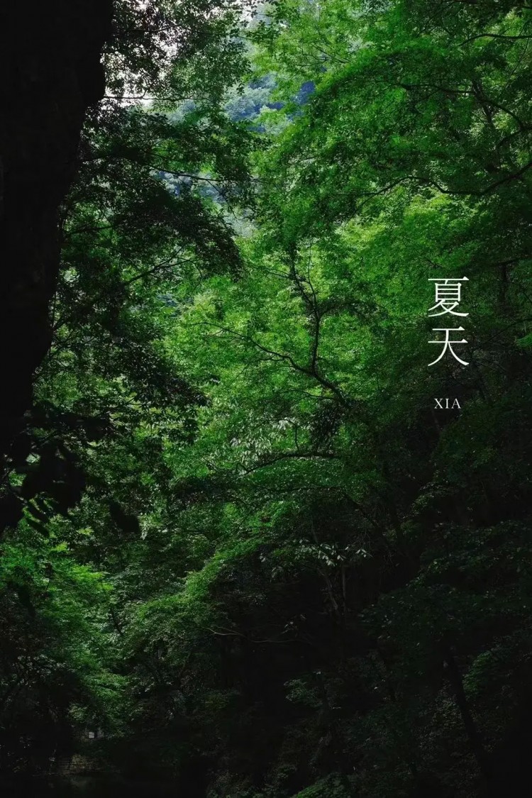 热热热！随州这些消夏避暑好去处记得收藏挑个周末就出发！