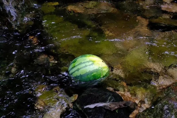 热热热！随州这些消夏避暑好去处记得收藏挑个周末就出发！