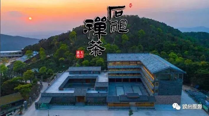 推荐|听说钦州有一处森林养生基地可以让你躲过炎炎夏日