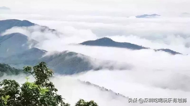 云浮象窝山顶有一家温泉酒店，漫山茶园，湖泊美景，去过的还想去