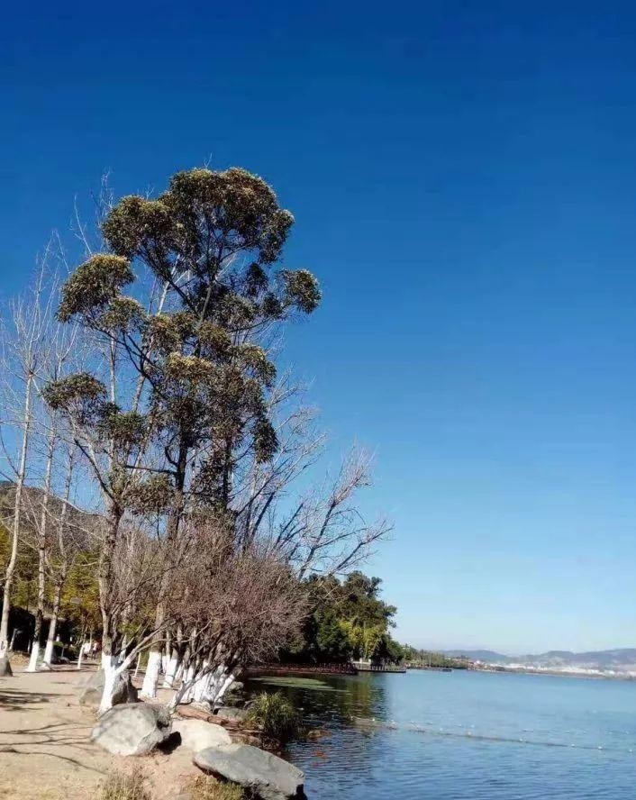 游玩攻略|赏冰雪泡温泉沐阳光这个冬天耍转四川