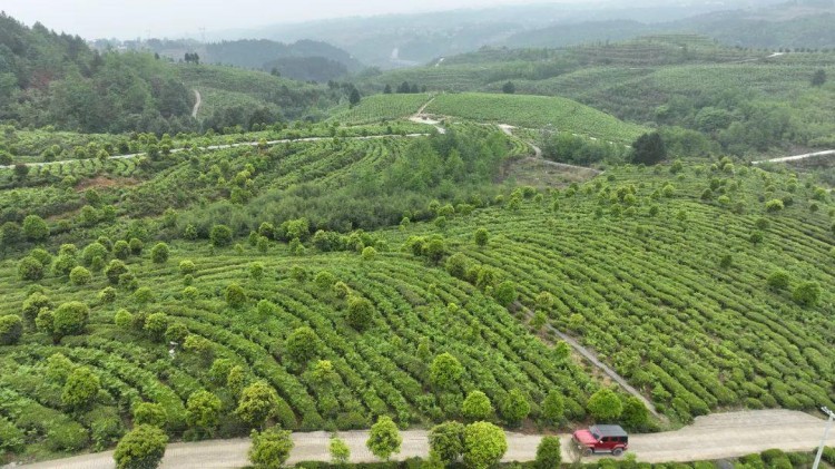 康养+旅游：毕节有一个很爽的地方