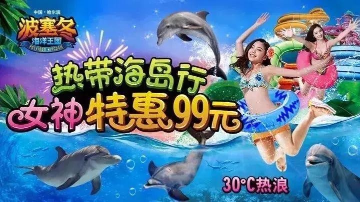 特权来看看黑龙江女神节女士们都有哪些特权~