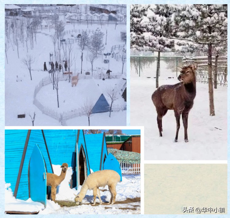 河北旅游：雪中泡泉沉浸式SPA华中小镇赏雪游玩度假全攻略