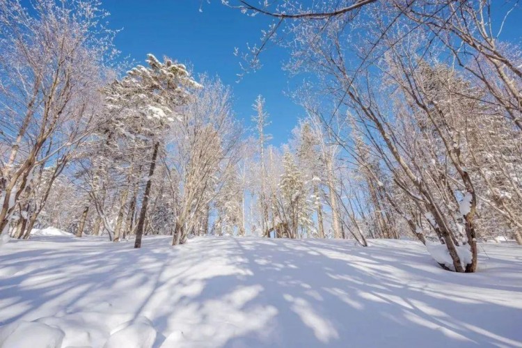 线路推荐|来哈尔滨开启一场中国雪乡-亚布力穿越自驾之旅！