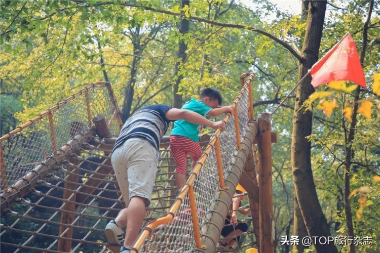 长沙唯一湖南仅2处！这两片森林被国家看上啦！周末就可来场森呼吸……