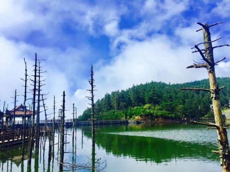 江西宜春一处神仙颜值的地方可以泡温泉+有吃有住有玩有美景