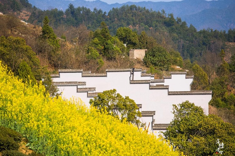 安徽歙县有一座山上的村落免门票风景美是春天赏花的绝佳地