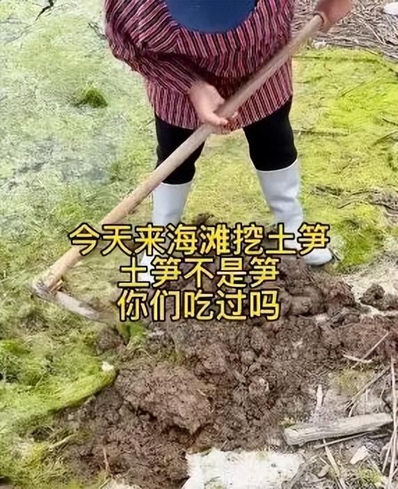 看着福建土笋冻嘴巴就是不敢动