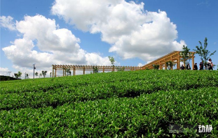 冬游贵州丨泡温泉赏美景品美食思南这份大礼包你确定不来拿