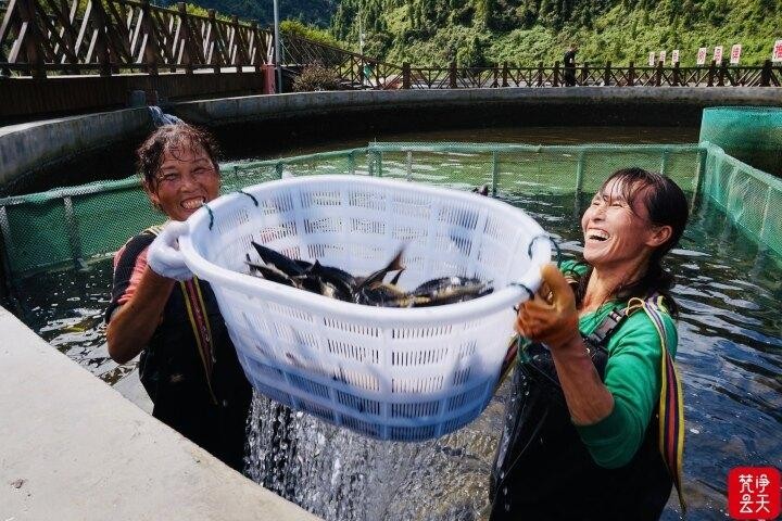 多彩贵州水·梵净抹茶香｜天然好水润黔东