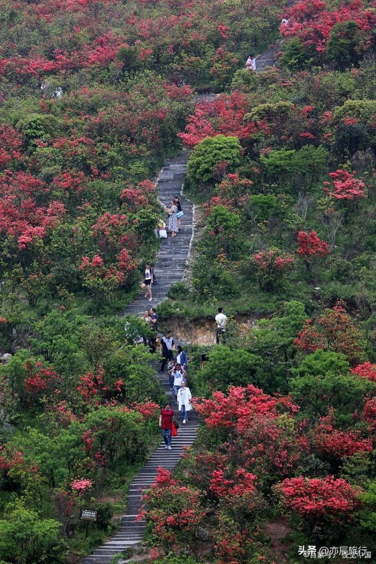 贵州适合老年人旅游的十大景点