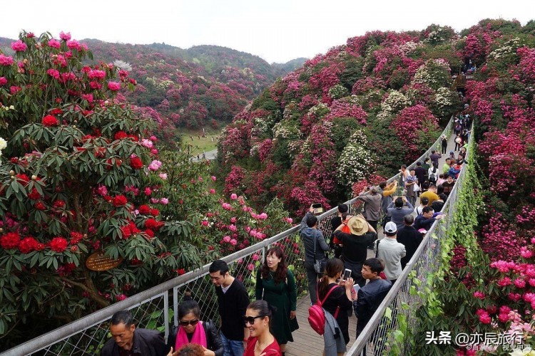 贵州适合老年人旅游的十大景点