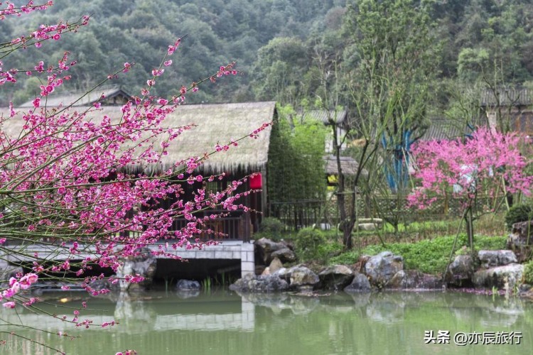 三月份旅游最佳地方江西10个值得去的景点